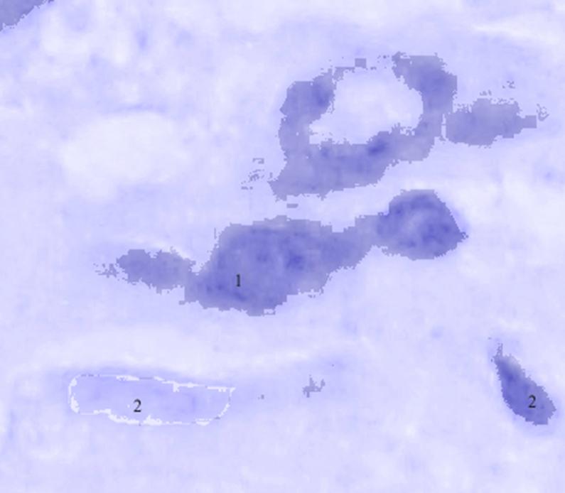 ris3