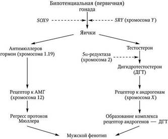 b00000320.jpg