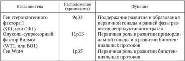 b00000329.jpg
