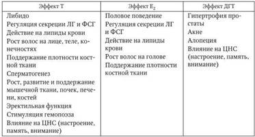b00000369.jpg