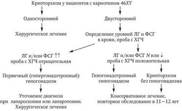 b00000601.jpg
