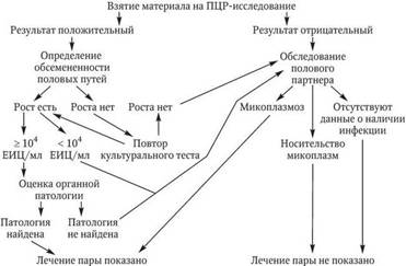 b00001240.jpg