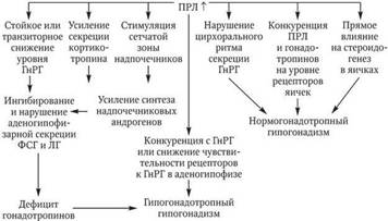 b00001465.jpg