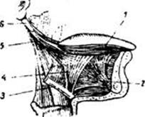 image102.jpg