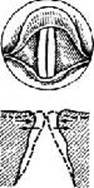 image138.jpg