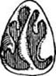 image160.jpg