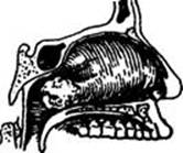 image168.jpg