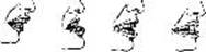 image176.jpg