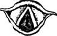 image186.jpg