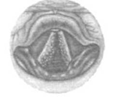 image192.jpg
