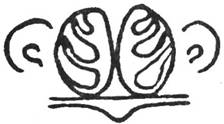nosogl