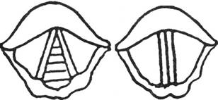 gortan